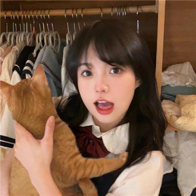内阁作战室:反叛第三季